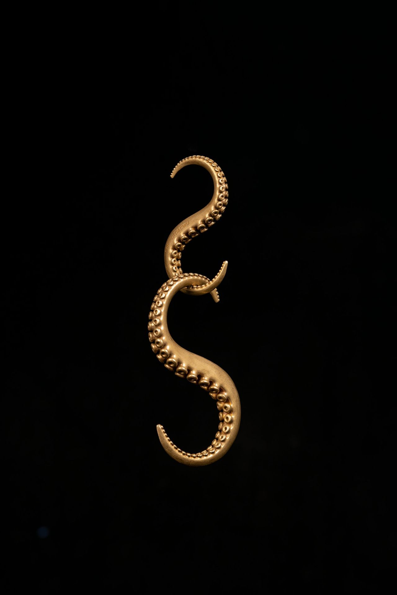 a gold snake shaped object on a black background